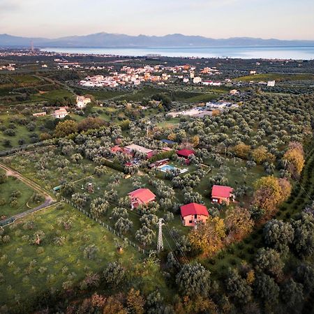 La Piana Degli Ulivi Bed & Breakfast Rossano Ngoại thất bức ảnh